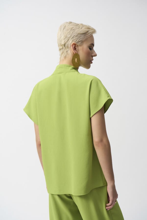 Blusa V-Neck Fresh Green - Joseph Ribkoff 251087
